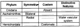 Plus One Zoology Chapter Wise Questions and Answers Chapter 2 Animal Kingdom 2M Q27