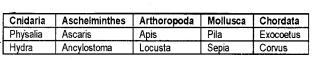 Plus One Zoology Chapter Wise Questions and Answers Chapter 2 Animal Kingdom 2M Q7