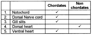 Plus One Zoology Chapter Wise Questions and Answers Chapter 2 Animal Kingdom 3M Q22.1