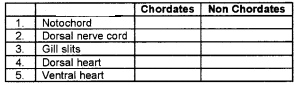 Plus One Zoology Chapter Wise Questions and Answers Chapter 2 Animal Kingdom 3M Q22