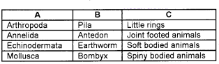 Plus One Zoology Chapter Wise Questions and Answers Chapter 2 Animal Kingdom 3M Q27