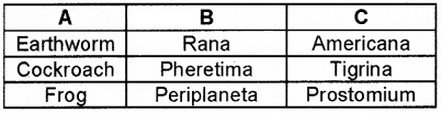 Plus One Zoology Chapter Wise Questions and Answers Chapter 3 Structural Organisation in Animals 2M Q36