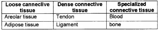 Plus One Zoology Chapter Wise Questions and Answers Chapter 3 Structural Organisation in Animals 2M Q7.1