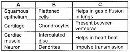 Plus One Zoology Chapter Wise Questions and Answers Chapter 3 Structural Organisation in Animals 3M Q8.1