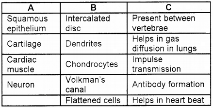 Plus One Zoology Chapter Wise Questions and Answers Chapter 3 Structural Organisation in Animals 3M Q8