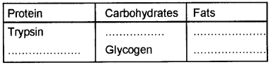 Plus One Zoology Chapter Wise Questions and Answers Chapter 4 Biomolecules 2M Q1