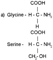 Plus One Zoology Chapter Wise Questions and Answers Chapter 4 Biomolecules 2M Q17.1