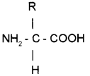 Plus One Zoology Chapter Wise Questions and Answers Chapter 4 Biomolecules 2M Q17