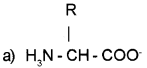 Plus One Zoology Chapter Wise Questions and Answers Chapter 4 Biomolecules 2M Q18.1