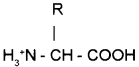 Plus One Zoology Chapter Wise Questions and Answers Chapter 4 Biomolecules 2M Q18.2