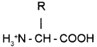 Plus One Zoology Chapter Wise Questions and Answers Chapter 4 Biomolecules 2M Q18