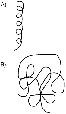 Plus One Zoology Chapter Wise Questions and Answers Chapter 4 Biomolecules 2M Q20