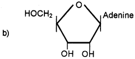 Plus One Zoology Chapter Wise Questions and Answers Chapter 4 Biomolecules 2M Q24.1