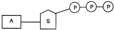 Plus One Zoology Chapter Wise Questions and Answers Chapter 4 Biomolecules 2M Q25