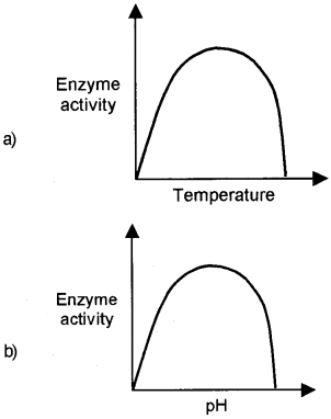 Plus One Zoology Chapter Wise Questions and Answers Chapter 4 Biomolecules 2M Q29