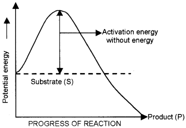 Plus One Zoology Chapter Wise Questions and Answers Chapter 4 Biomolecules 2M Q30