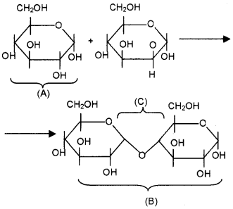 Plus One Zoology Chapter Wise Questions and Answers Chapter 4 Biomolecules 3M Q4