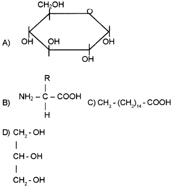 Plus One Zoology Chapter Wise Questions and Answers Chapter 4 Biomolecules 3M Q7