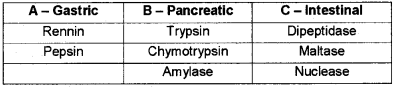 Plus One Zoology Chapter Wise Questions and Answers Chapter 5 Digestion and Absorption 2M Q10