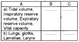 Plus One Zoology Chapter Wise Questions and Answers Chapter 6 Breathing and Exchange of Gases 2M Q14