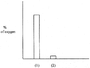 Plus One Zoology Chapter Wise Questions and Answers Chapter 6 Breathing and Exchange of Gases 2M Q4