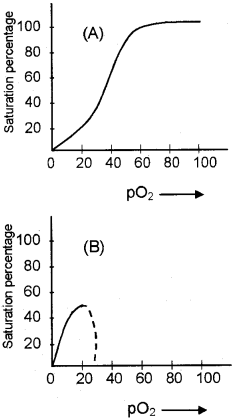 Plus One Zoology Chapter Wise Questions and Answers Chapter 6 Breathing and Exchange of Gases 3M Q5