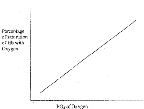 Plus One Zoology Chapter Wise Questions and Answers Chapter 6 Breathing and Exchange of Gases 3M Q8