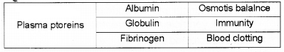 Plus One Zoology Chapter Wise Questions and Answers Chapter 7 Body Fluids and Circulation 2M Q10.1