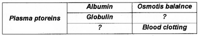 Plus One Zoology Chapter Wise Questions and Answers Chapter 7 Body Fluids and Circulation 2M Q10