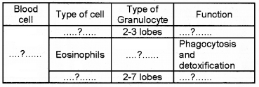 Plus One Zoology Chapter Wise Questions and Answers Chapter 7 Body Fluids and Circulation 2M Q19