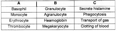 Plus One Zoology Chapter Wise Questions and Answers Chapter 7 Body Fluids and Circulation 2M Q8.1