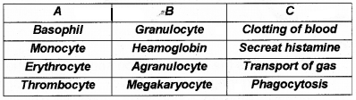 Plus One Zoology Chapter Wise Questions and Answers Chapter 7 Body Fluids and Circulation 2M Q8