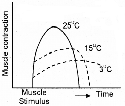 Plus One Zoology Chapter Wise Questions and Answers Chapter 9 Locomotion and Movement 2M Q14