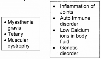 Plus One Zoology Improvement Question Paper Say 2017, 1