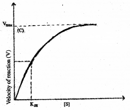 Plus One Zoology Improvement Question Paper Say 2017, 3