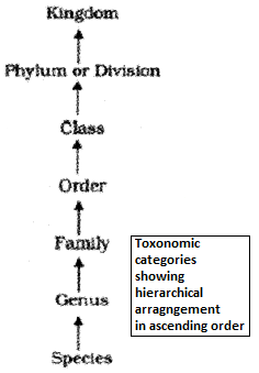 Plus One Zoology Notes Chapter 1 The Living World 1