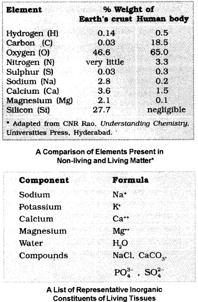 Plus One Zoology Notes Chapter 4 Biomolecules 1