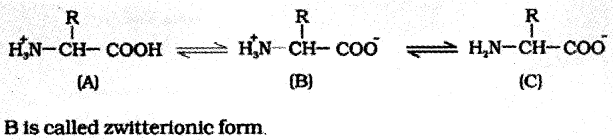 Plus One Zoology Notes Chapter 4 Biomolecules 2