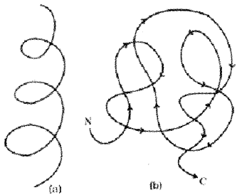 Plus One Zoology Notes Chapter 4 Biomolecules 6