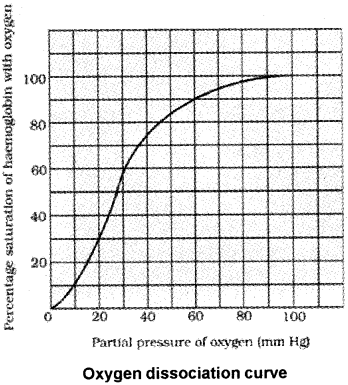 Plus One Zoology Notes Chapter 6 Breathing and Exchange of Gases 6