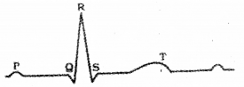 Plus One Zoology Previous Year Question Paper March 2018, 4