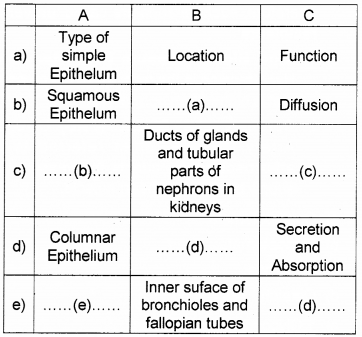 Plus One Zoology Previous Year Question Paper March 2019, 10