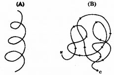 Plus One Zoology Previous Year Question Paper March 2019, 5