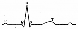 Plus One Zoology Previous Year Question Paper March 2019, 9