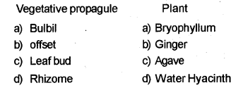 Plus Two Botany Chapter Wise Previous Questions Chapter 1 Reproduction in Organisms 2