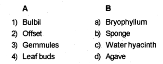 Plus Two Botany Chapter Wise Previous Questions Chapter 1 Reproduction in Organisms 3