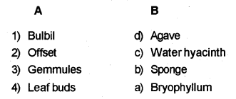 Plus Two Botany Chapter Wise Previous Questions Chapter 1 Reproduction in Organisms 4