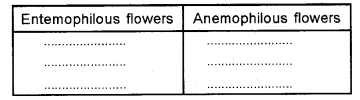 Plus Two Botany Chapter Wise Previous Questions Chapter 2 Sexual Reproduction in Flowering Plants 6