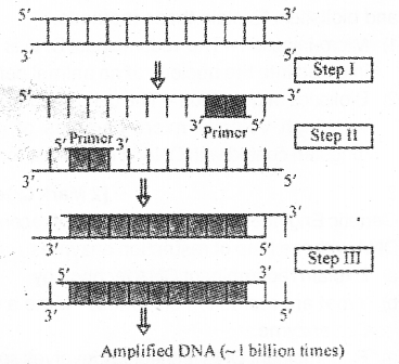 Plus Two Botany Chapter Wise Previous Questions Chapter 4 Biotechnology Principles and Processes 3