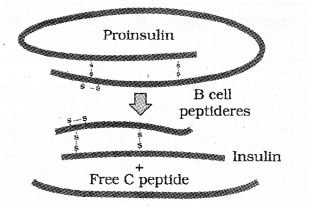 Plus Two Botany Chapter Wise Previous Questions Chapter 6 Organisms and Populations 1